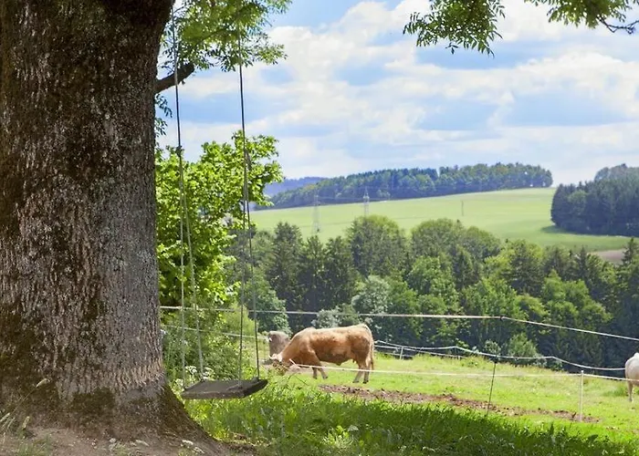 Hotel Naturhotel Gidibauer-hof 3*